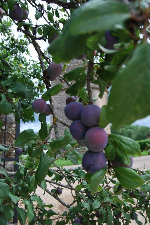 Mas De Garrigue Bed and Breakfast Calvignac Buitenkant foto